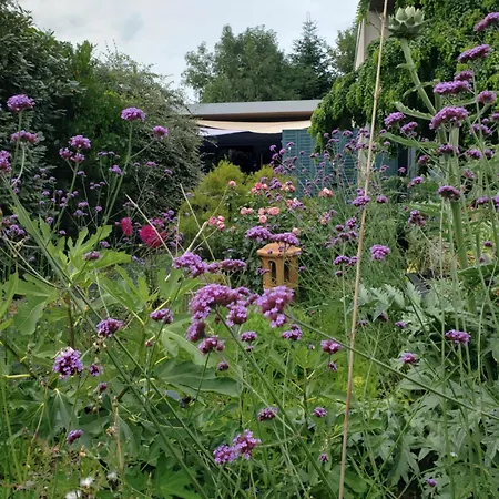 Avec Bain Nordique Dans La Campagne Brayonne Pour 2 Personnes * Massy (Seine-Maritime)