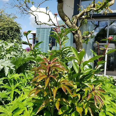 Avec Bain Nordique Dans La Campagne Brayonne Pour 2 Personnes Vakantiehuis